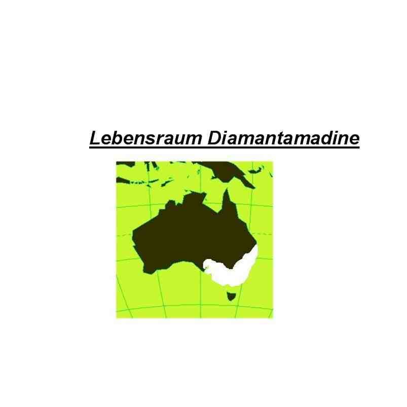 Das Verbreitungsgebiet ist wei� dargestellt
